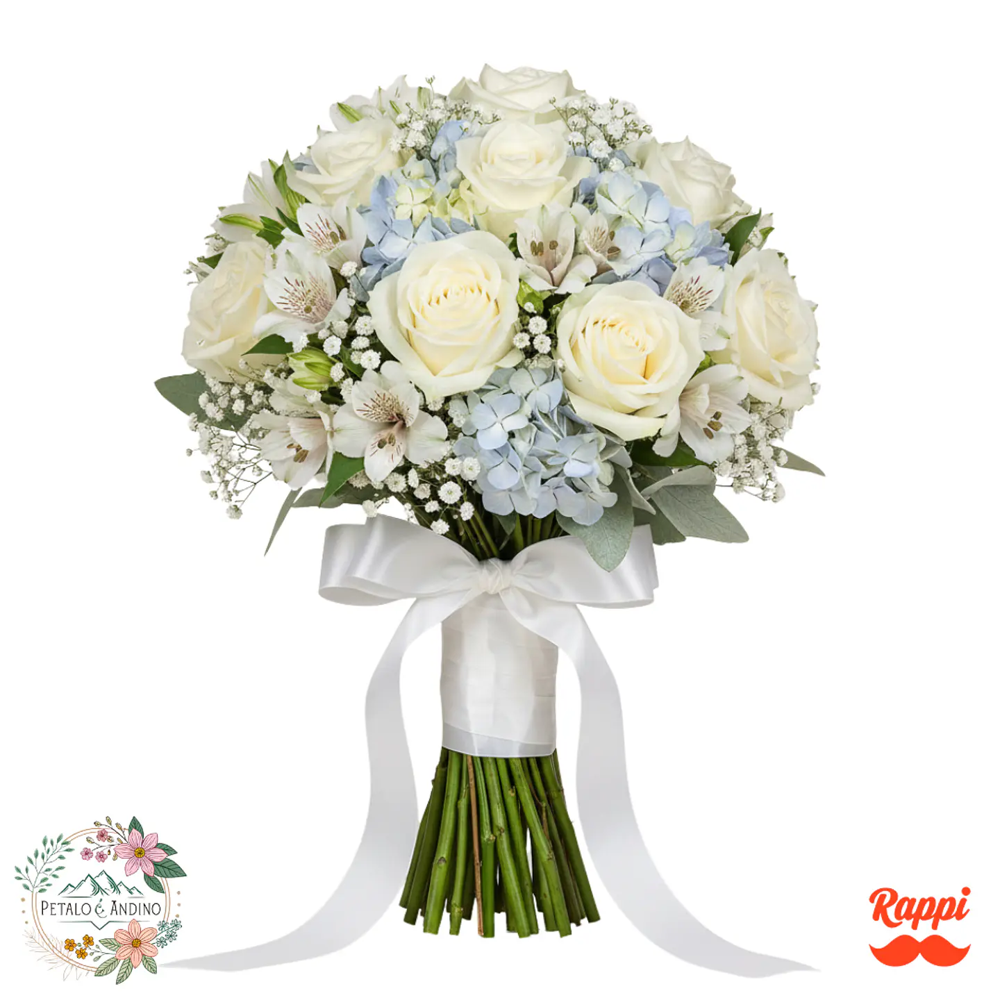 Luz Celestial Novia 1