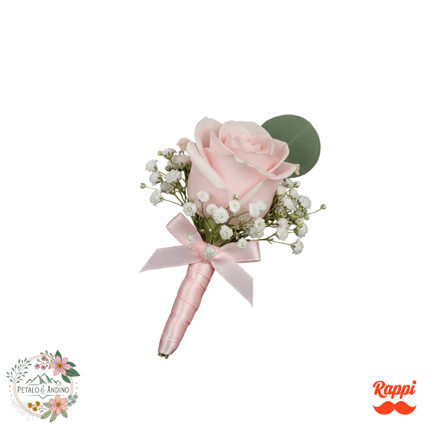 Dulce Aurora Novio 1