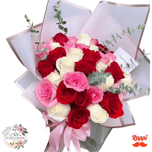 Flores Rosas Rojas, Rosadas y Blancas Elegantes