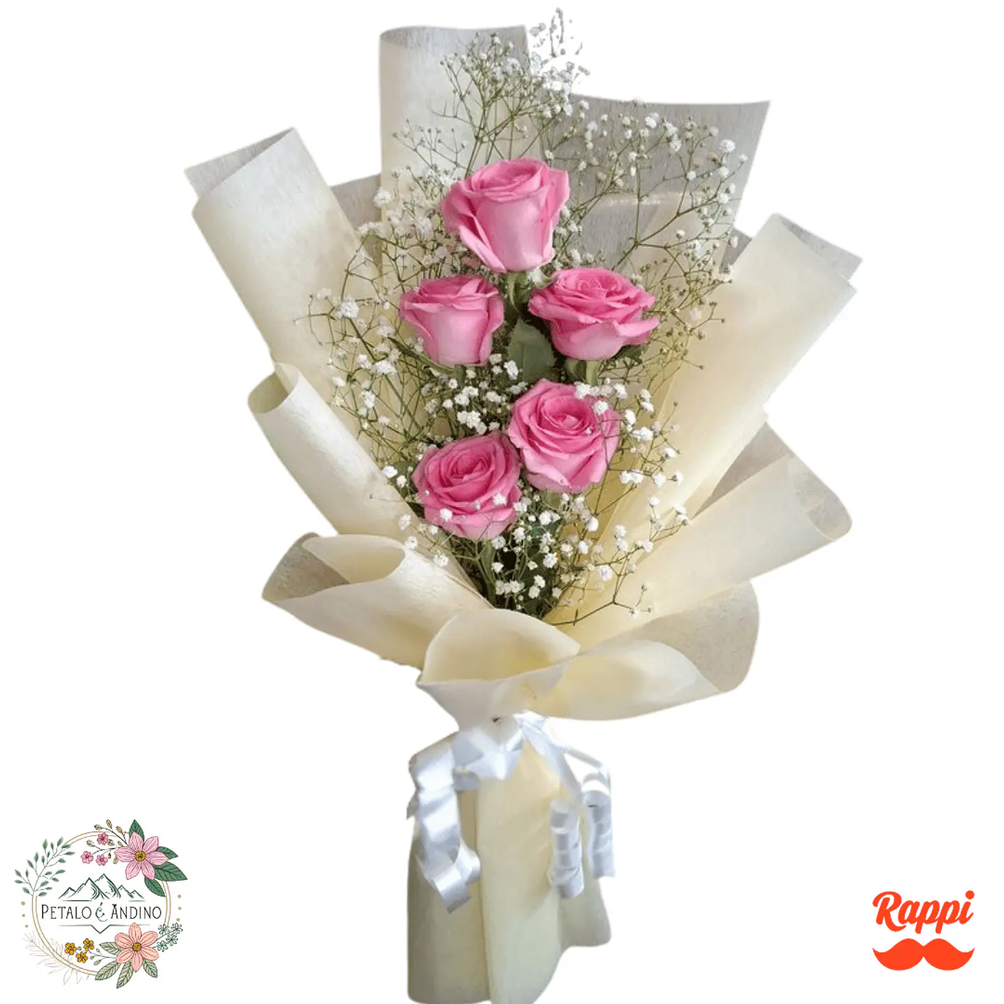 Flores Rosas Rosadas con Nube Clásico 1