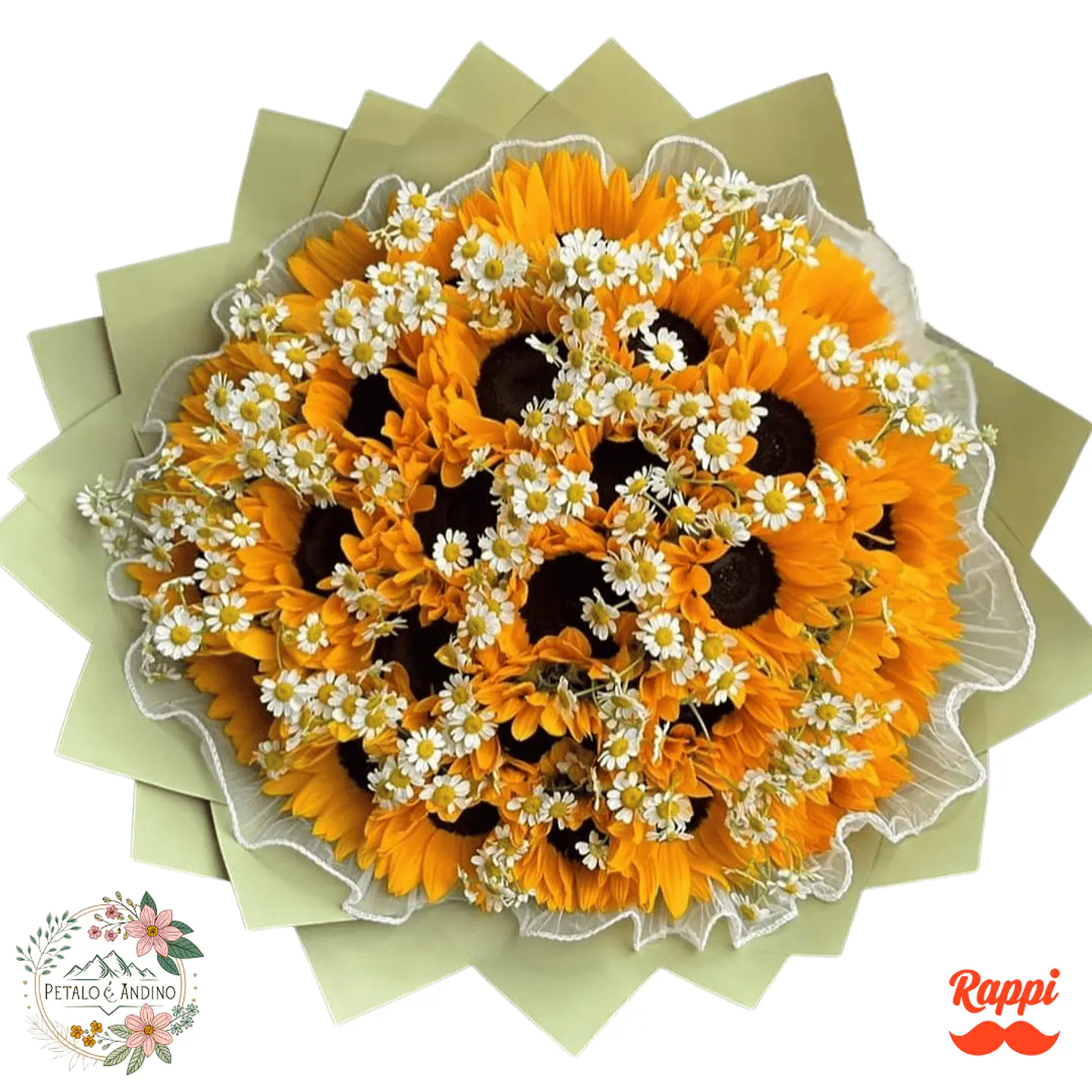 Bouquet Girasoles con MANZANILLA 1