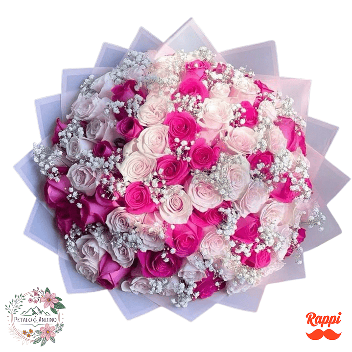 Bouquet Ilusión Rosa & Blanco 1