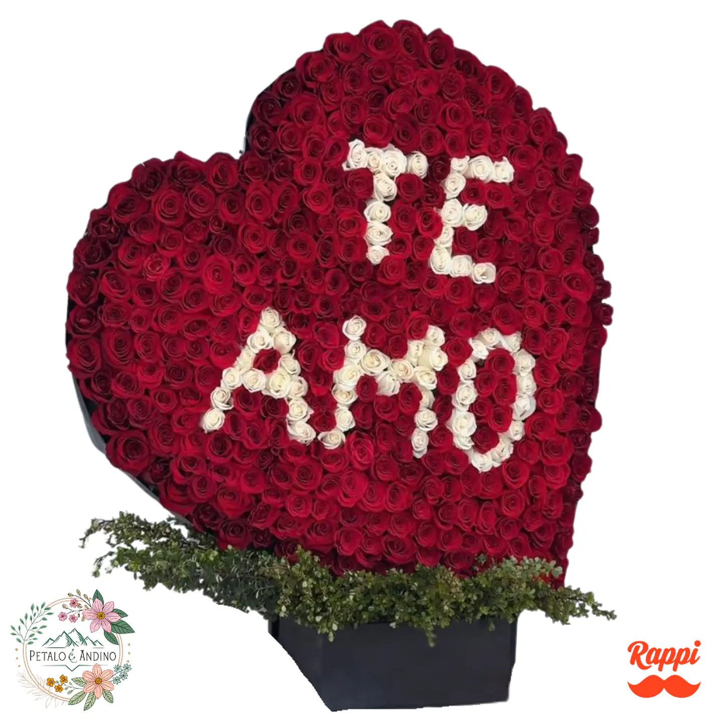 Corazón Gigante de Rosas Rojas con Mensaje TE AMO 1