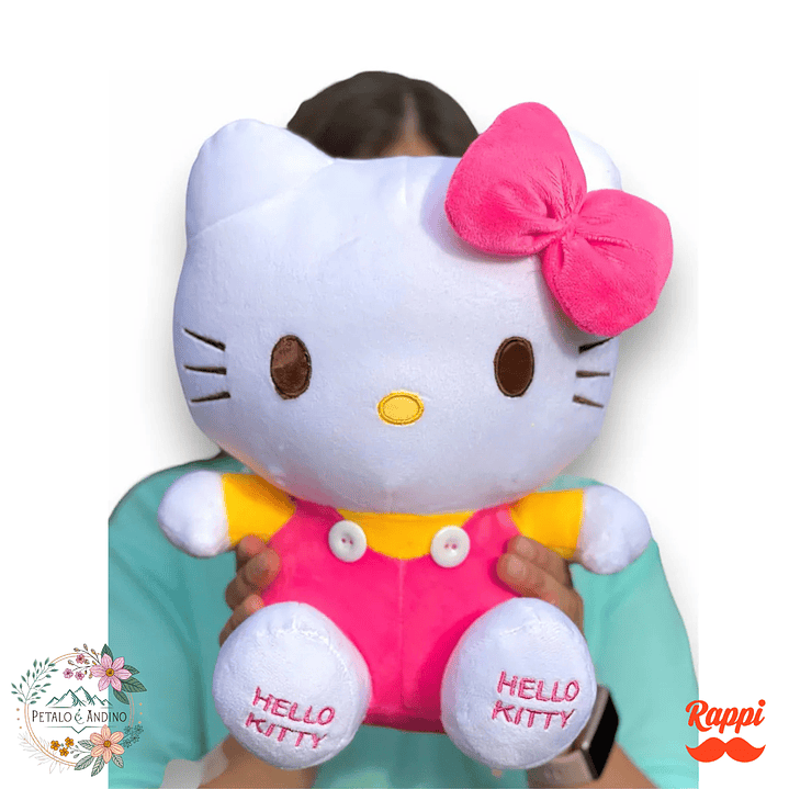 Peluche de Hello Kitty 1