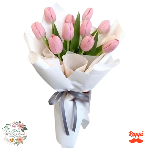 Tulipanes Rosados Clásicos