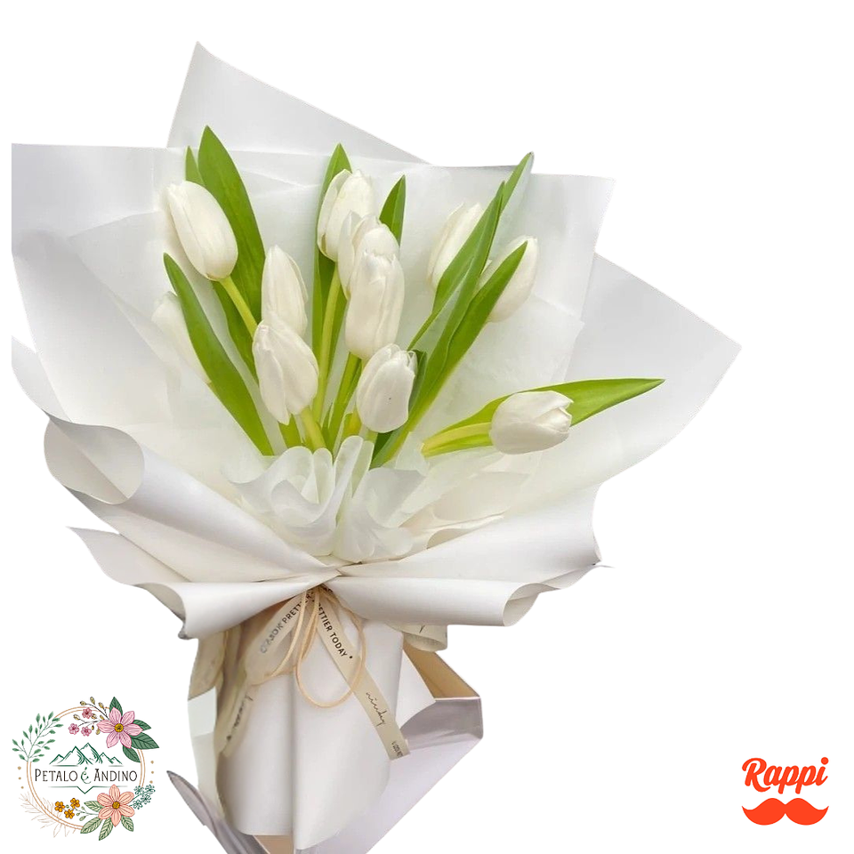 Tulipanes Blancos Clásicos 1