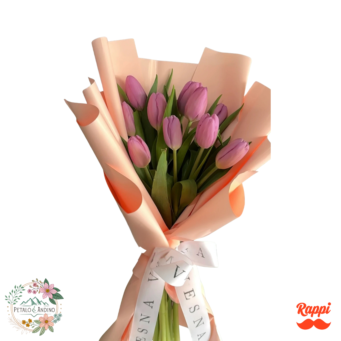 Tulipanes Lila Clásicos 1