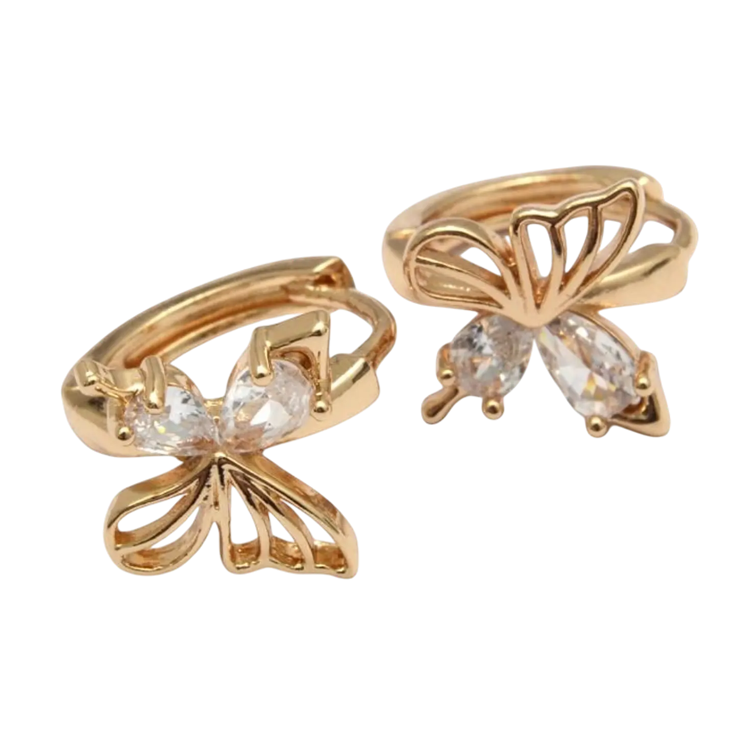 Argollas butterfly  1