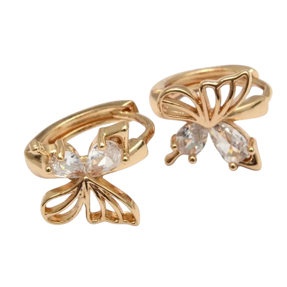Argollas butterfly  1