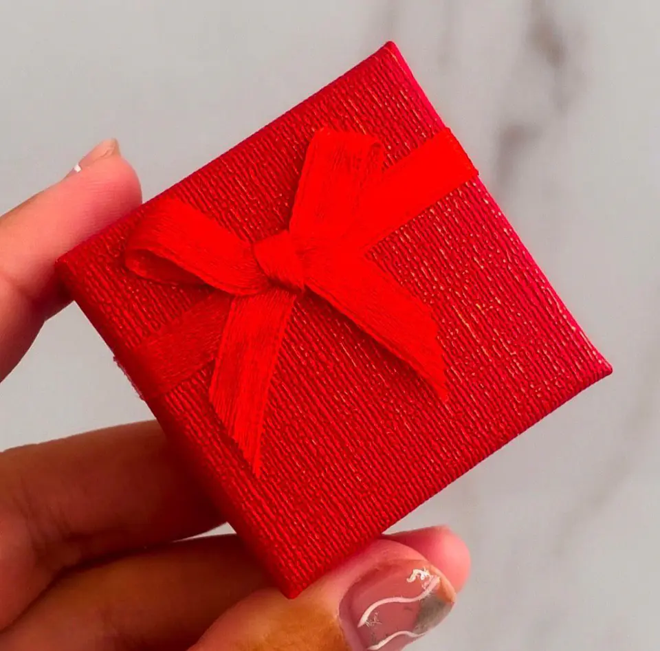 Estuche Moño 1