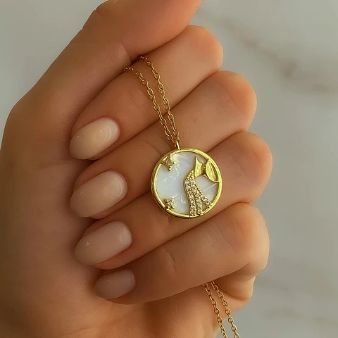Collar Acuario