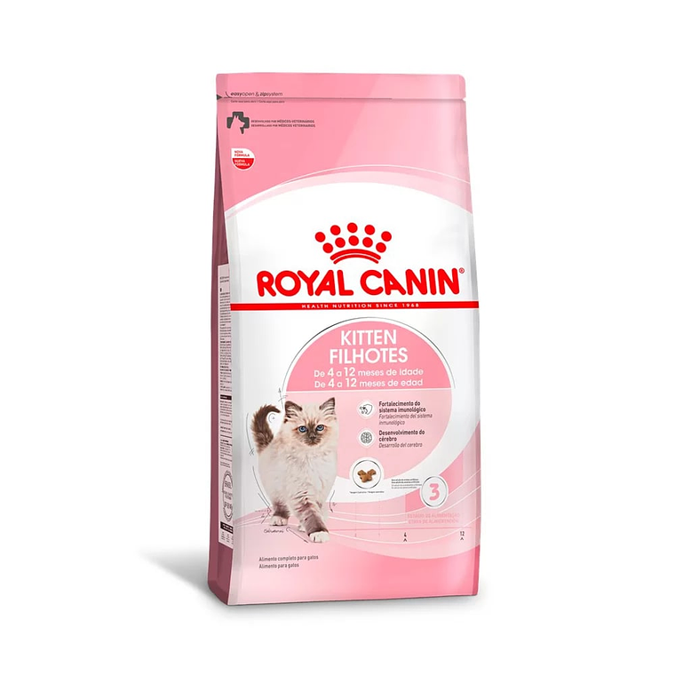 RC Kitten Filhotes 1,5 KG 1