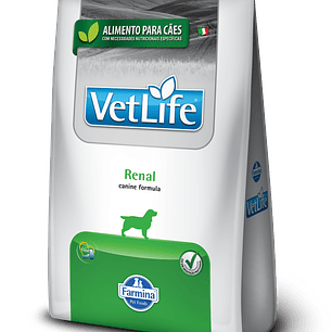 Vet Life Dog Renal 10.1 KG