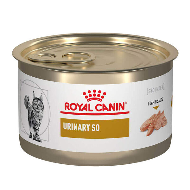 Royal Canin Lata Urinary s/o Felino 145gr 1