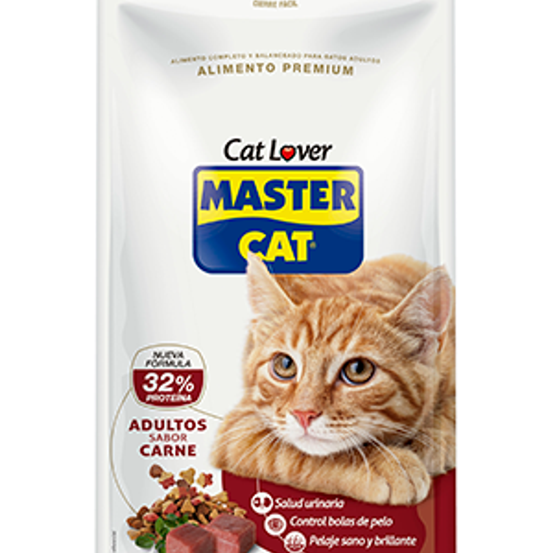 Master Cat Carne 20 KG 1