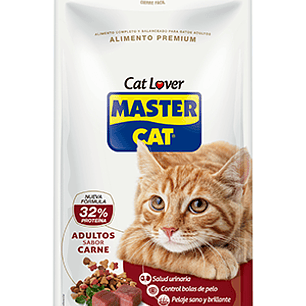 Master Cat Carne 20 KG