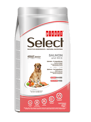 Picart Select Dog Adult Sensitive Salmon & Rice 12 KG
