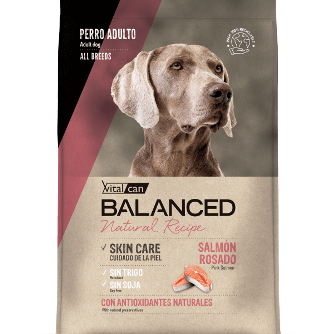 Vitalcan Balanced Natural Recipe Perro Adulto Salmón Rosado 15 KG 1