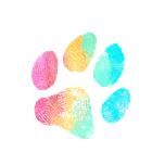 Logo de Petcolours