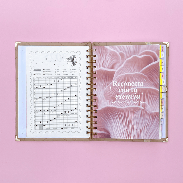 PLANNER CON FECHA BEIGE, ANILLADO