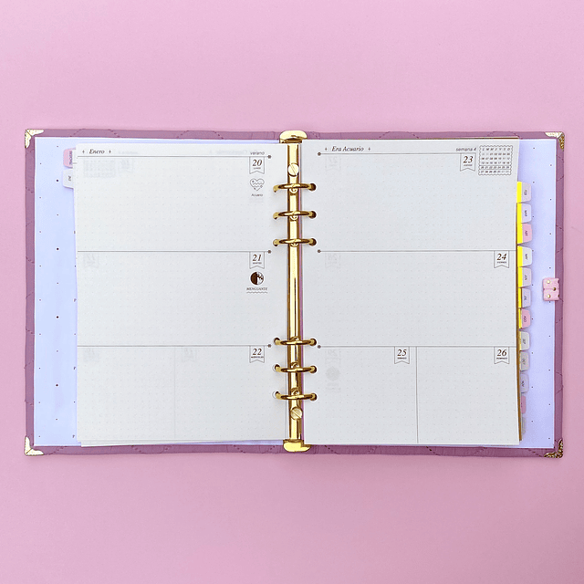 PLANNER CON FECHA PINK, ARCHIVADOR