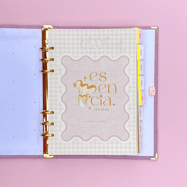 PLANNER SIN FECHA DIARIO PINK, ARCHIVADOR