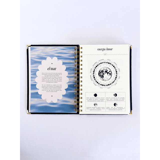 Planner con fecha "PROFUNDIDAD" Archivador