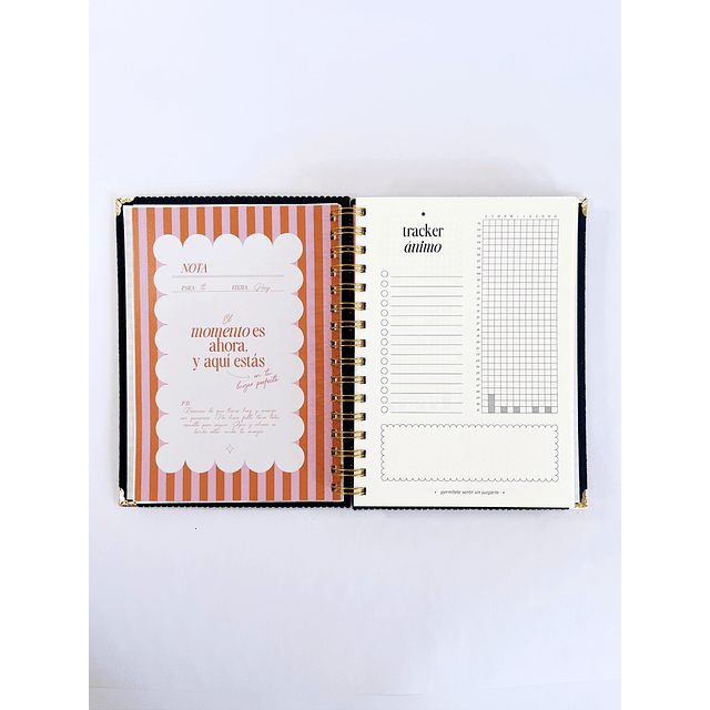 Planner sin fecha "PROFUNDIDAD" Archivador