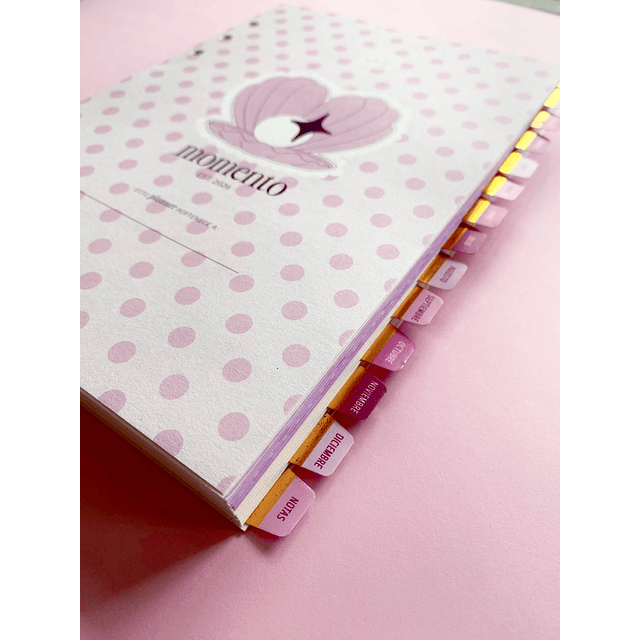 REFILL PLANNER CON FECHA