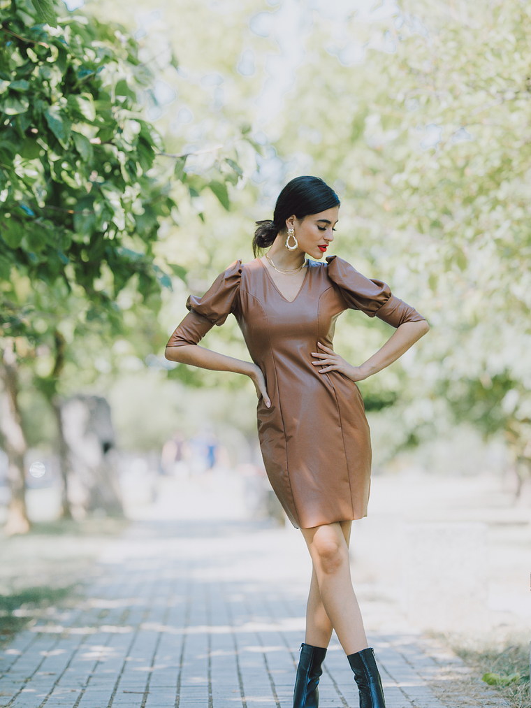 Taylor Brown Dress 1