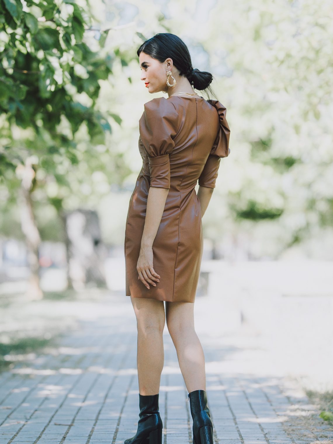 Taylor Brown Dress 4