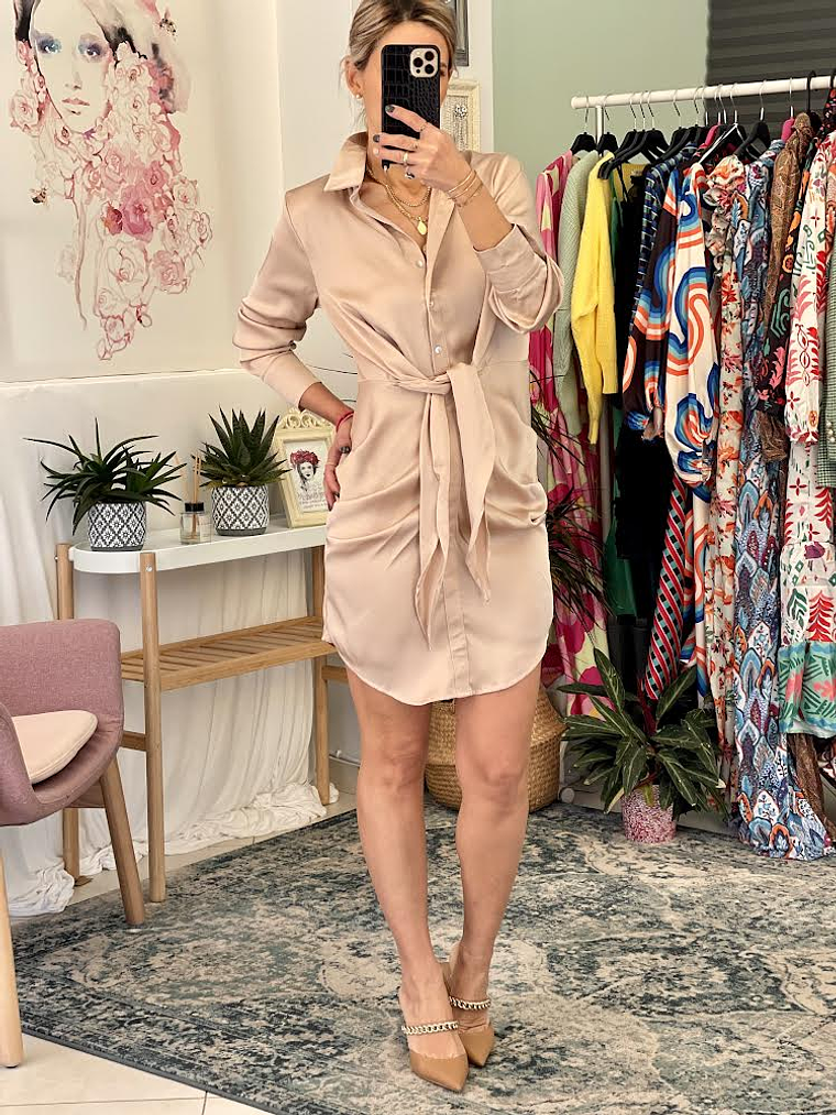 Dianna Beige Dress    2
