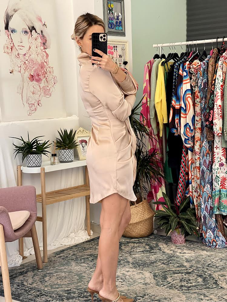 Dianna Beige Dress    3