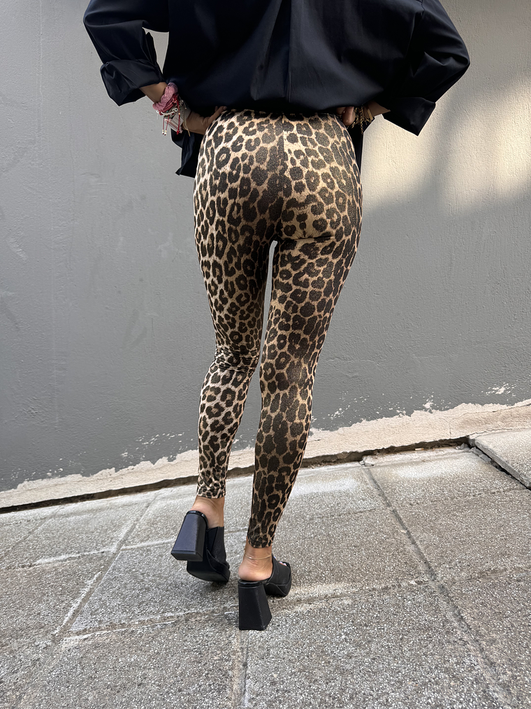 1551 Leopardi leggings 3