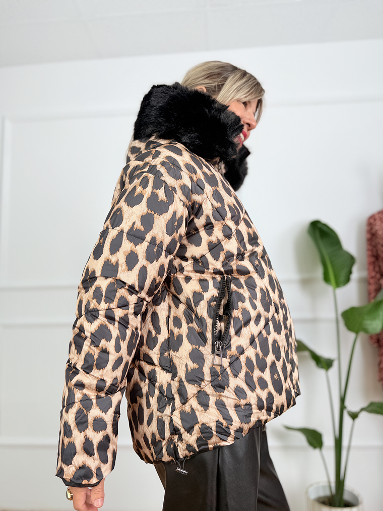 Untamed Jacket MY0338 Leopard 5