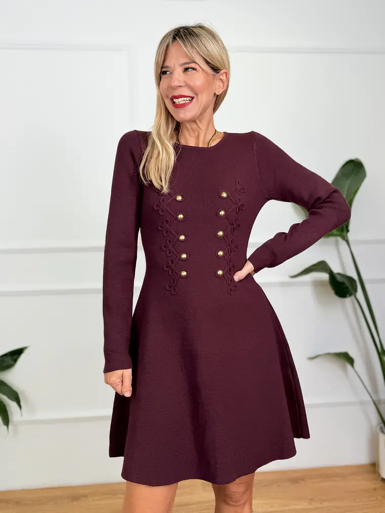 Sibylla Mini Dress Burgundy AB5597 1