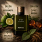 DECANT PAPATUI P-07  (EDP) - Miniatura 2