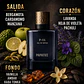 DECANT PAPATUI P-01  (EDP) - Miniatura 2