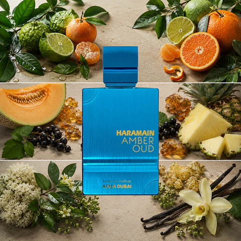 DECANT AMBER OUD AQUA DUBAI (EDP)