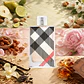 DECANT BRIT (EDP) - Miniatura 2