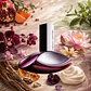 DECANT EUPHORIA (EDP) - Miniatura 2