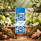 DECANT LIGHT BLUE CAPRI IN LOVE FOR HER (EDP) - Miniatura 2