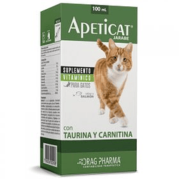 APETICAT JARABE 100 ML