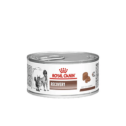 ROYAL CANIN LATA RECOVERY 145 GR