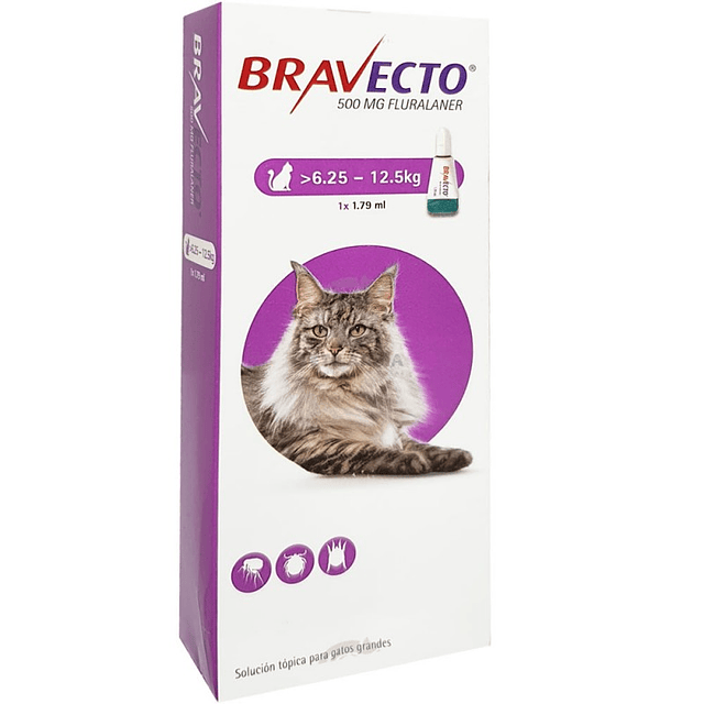 BRAVECTO GATO DE 6,25 A 12,5 KG.