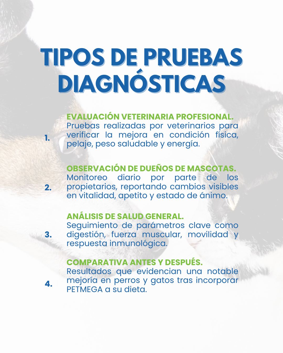 Suplemento Alimenticio 3