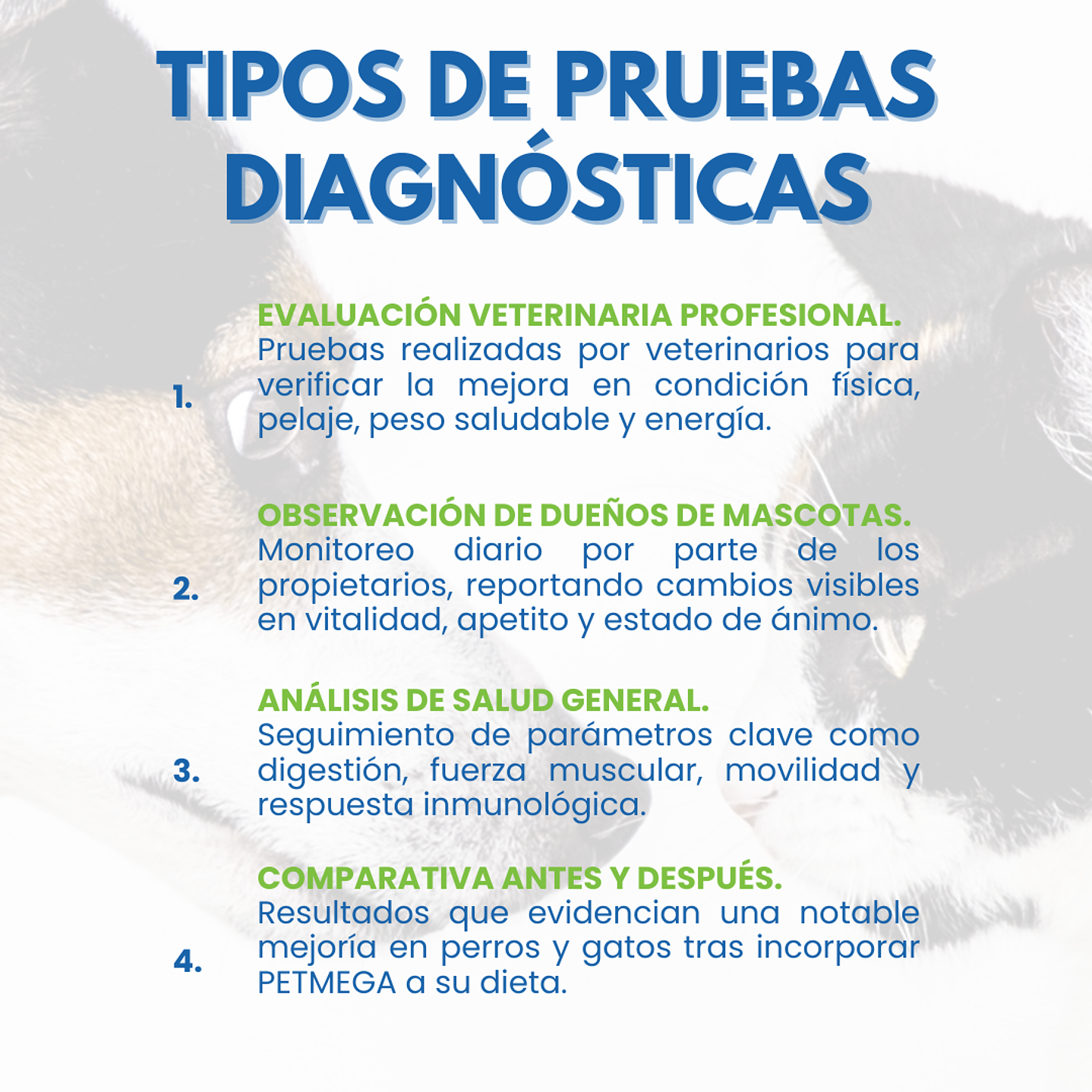 Suplemento Alimenticio 3