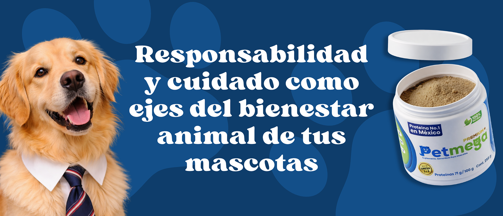 Responsabilidad y cuidado como ejes del bienestar animal de tus mascotas