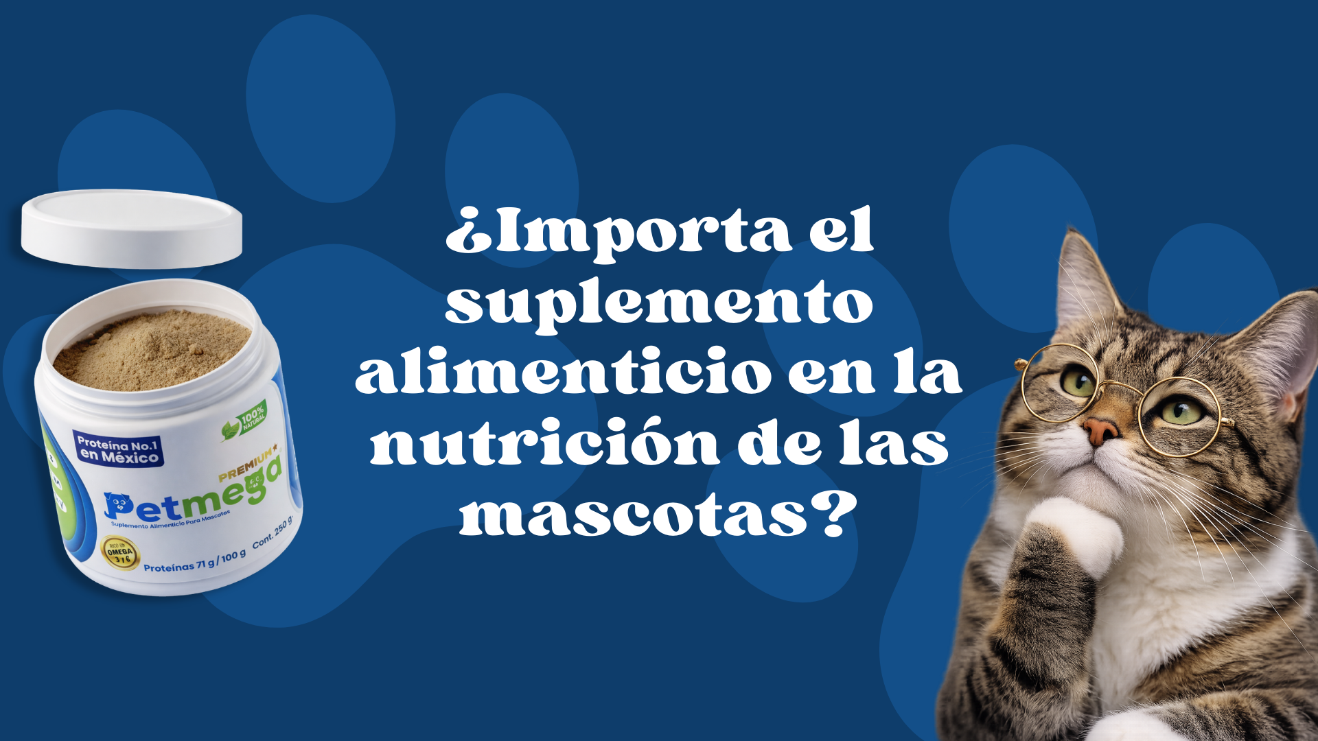 ¿Importa el suplemento alimenticio en la nutrición de las mascotas?: Petmega lo responde