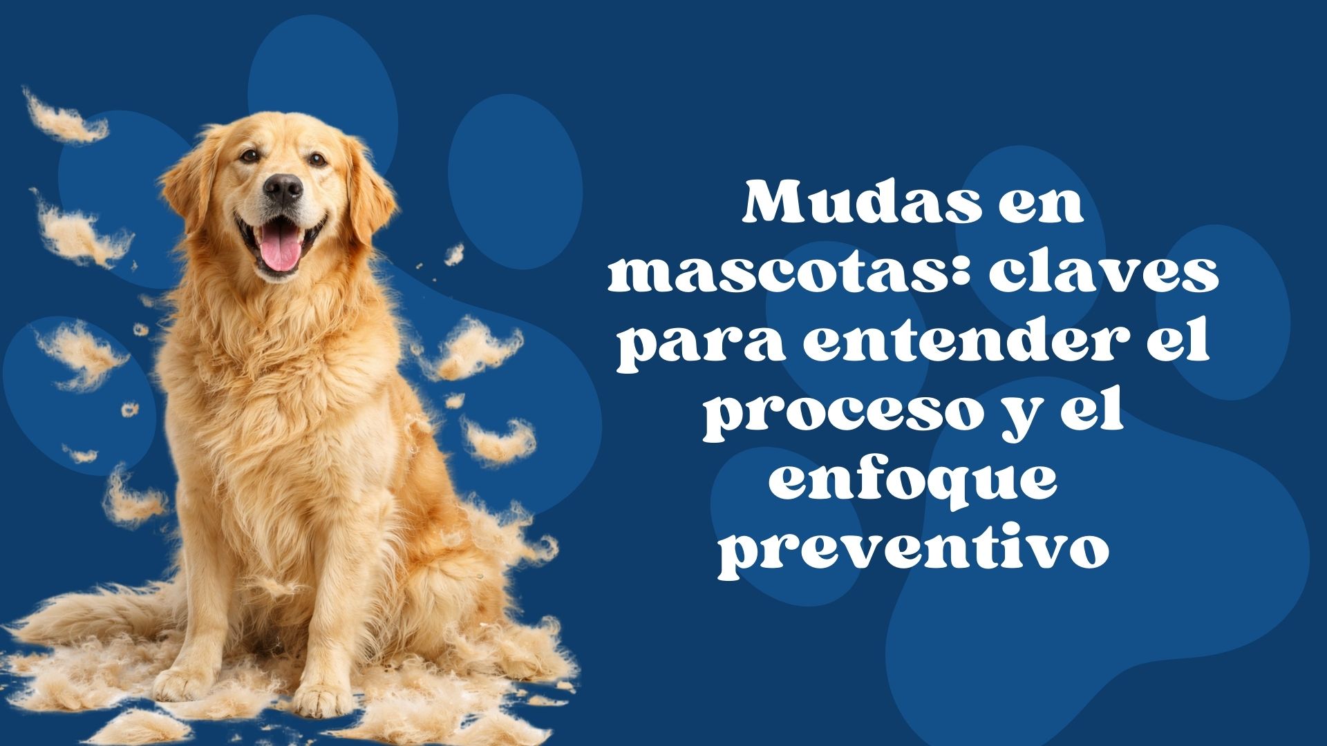 Mudas en mascotas: claves para entender el proceso y el enfoque preventivo